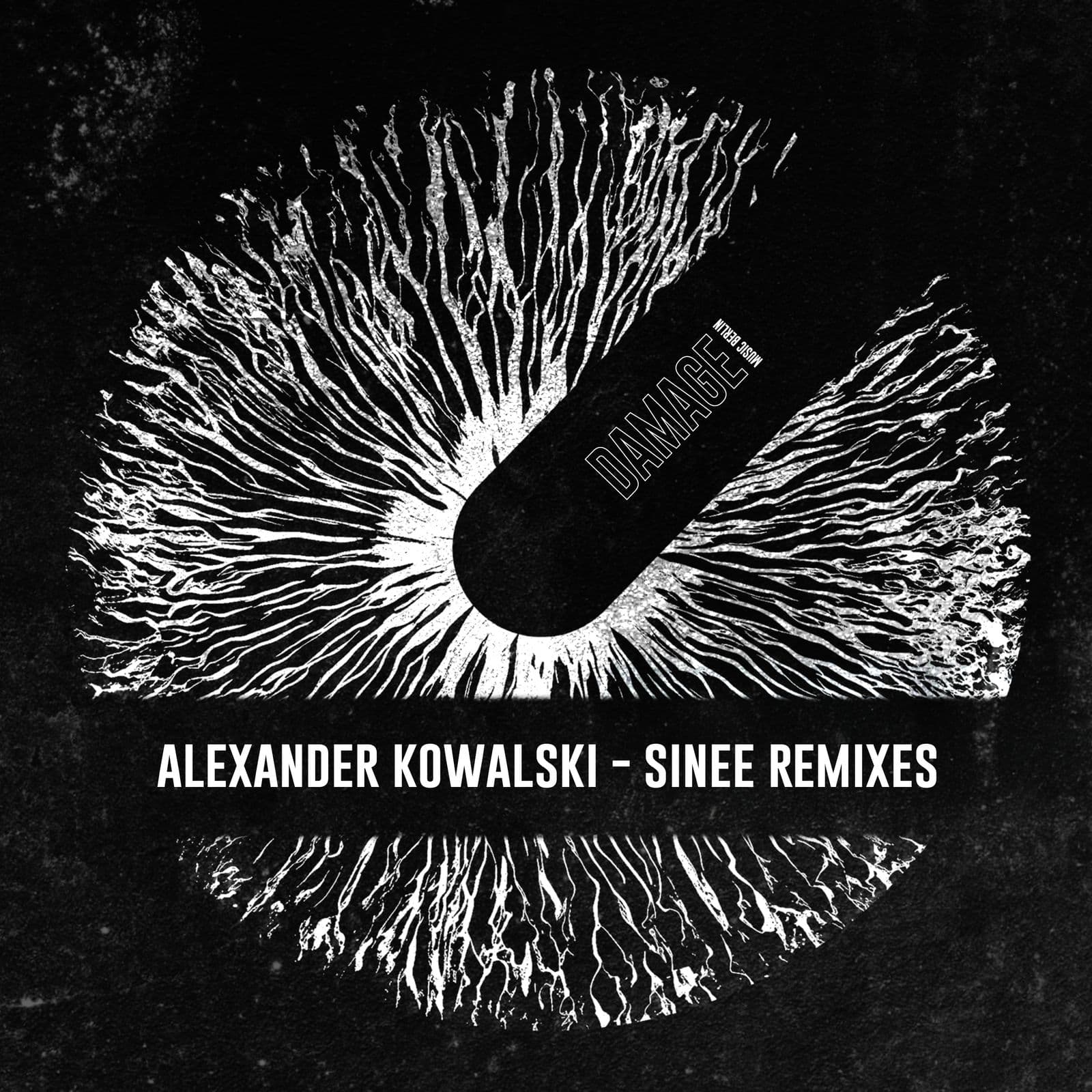 Alexander_Kowalski-Sinee_Remixes-_DMBRMX1_-16BIT-WEB-FLAC-2026-PTC