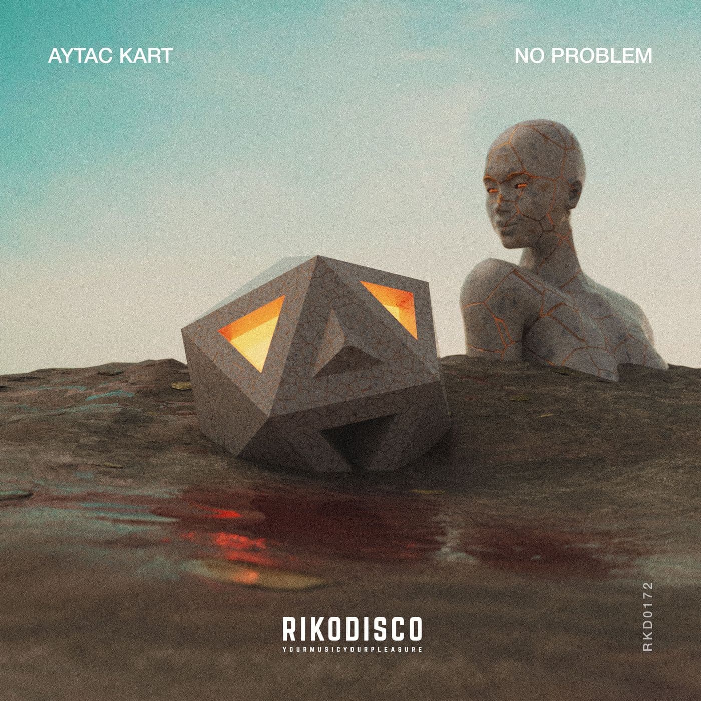 Aytac_Kart-No_Problem-_RKD0172_-SINGLE-WEB-2024-PTC