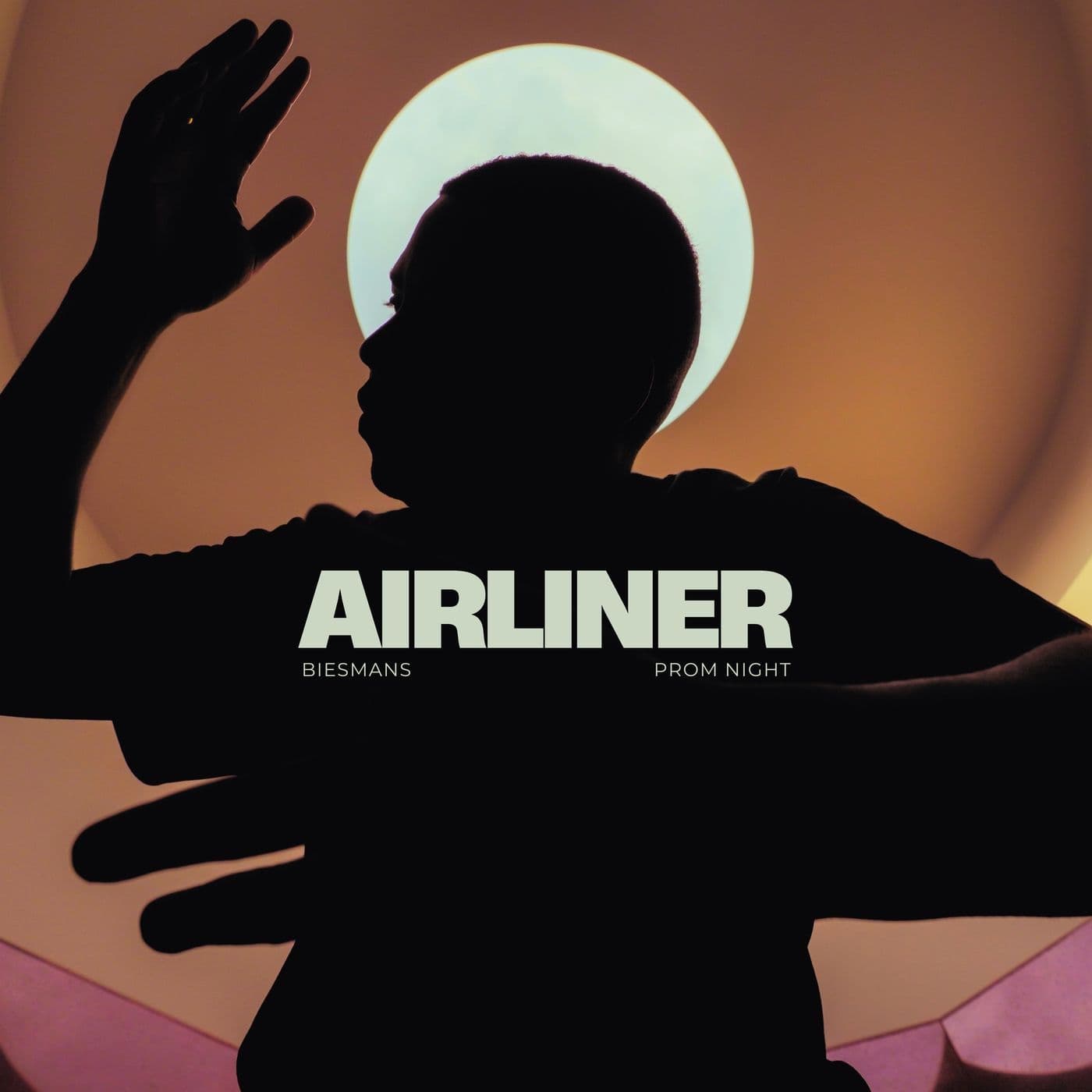 Biesmans_and_Prom_Night-Airliner-_PNR014_-WEB-2026-PTC