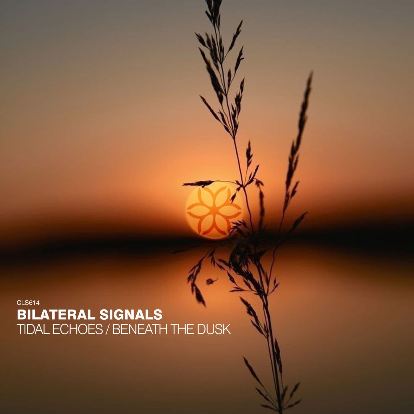 Bilateral_Signals-Tidal_Echoes_Beneath_The_Dusk-_CLS614_-WEB-2026-PTC