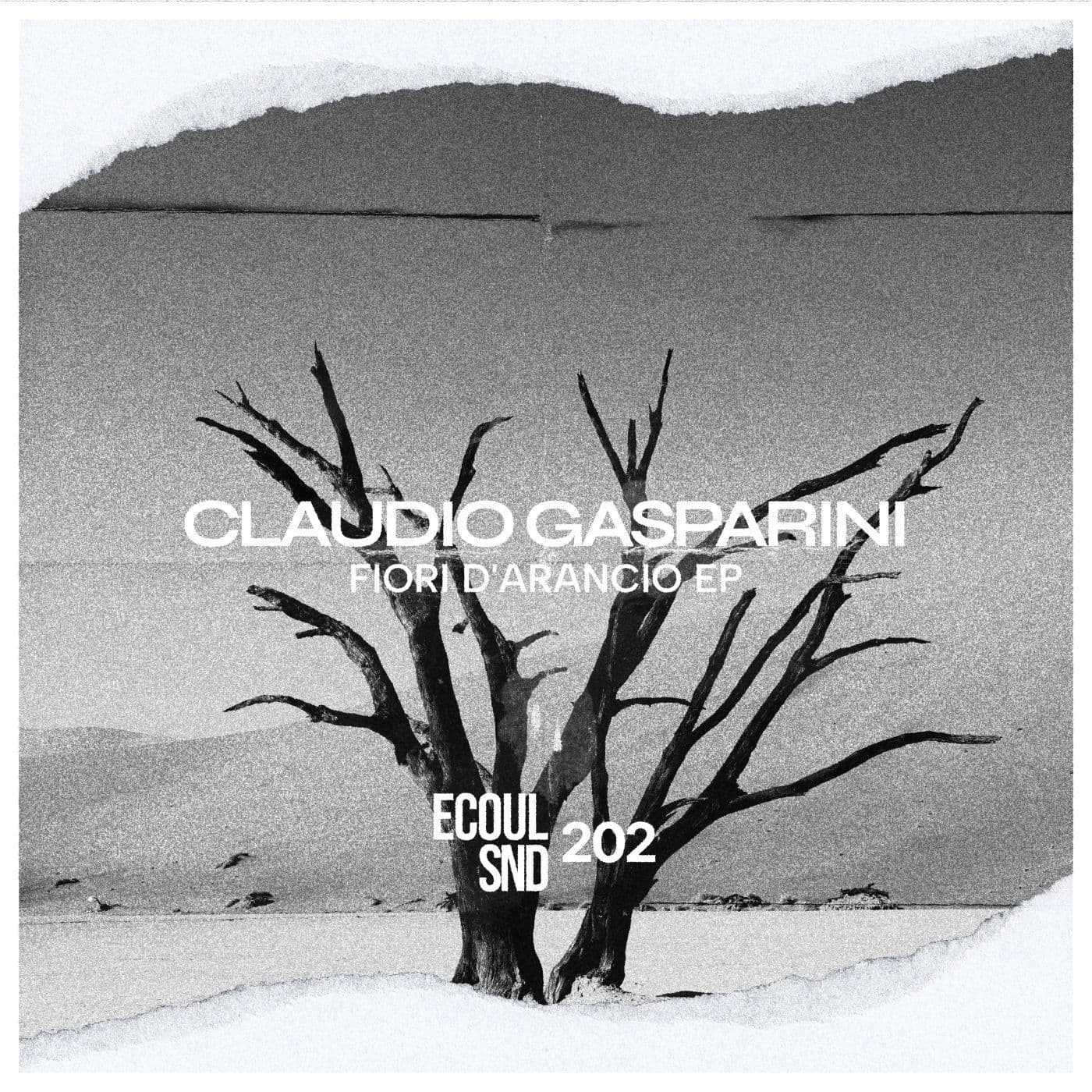 Claudio_Gasparini-Fiori_DArancio-_ECOUL202_-WEB-2026-PTC