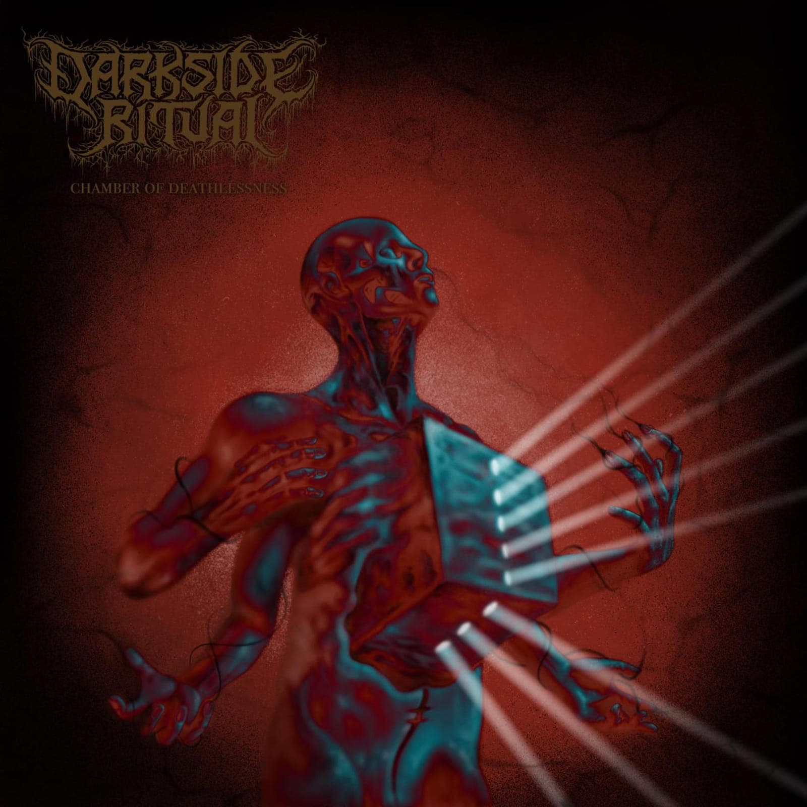 Darkside_Ritual-Chamber_of_Deathlessness-WEB-2025-BLEEDiNG