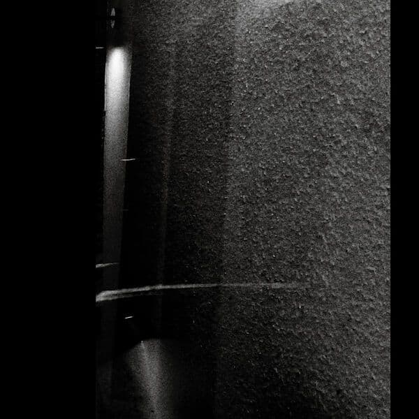 Data_Domain-La_Danza_De_La_Oruga-_LR056_-16BIT-WEB-FLAC-2020-BABAS