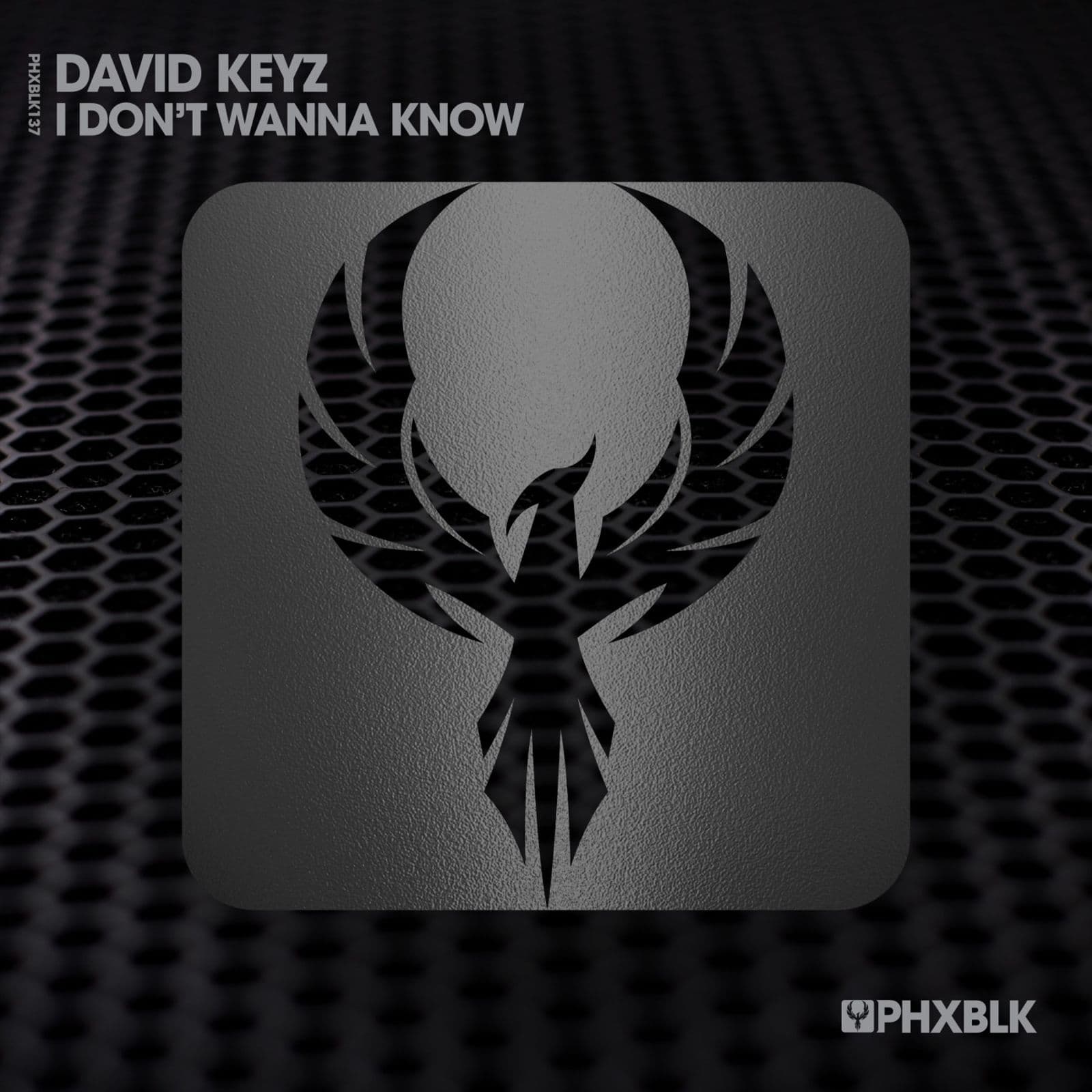 David_Keyz-I_Dont_Wanna_Know-_PHXBLK138D_-WEB-2026-BB