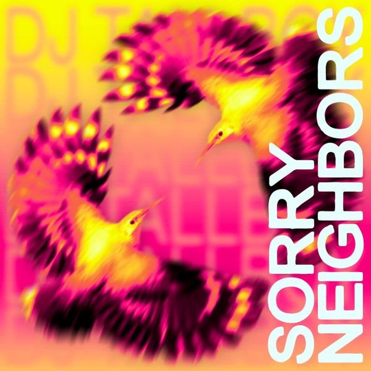 DJ_Tallboy-Sorry_Neighbors-_TIPSY097_-SINGLE-WEB-2026-FALCON
