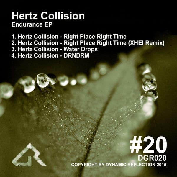 Hertz_Collision-Endurance_EP-_DGR020_-24BIT-WEB-FLAC-2015-BABAS
