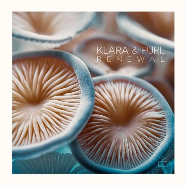 Klara_x_Purl-Renewal-_LSYA007_-16BIT-WEB-FLAC-2024-BABAS
