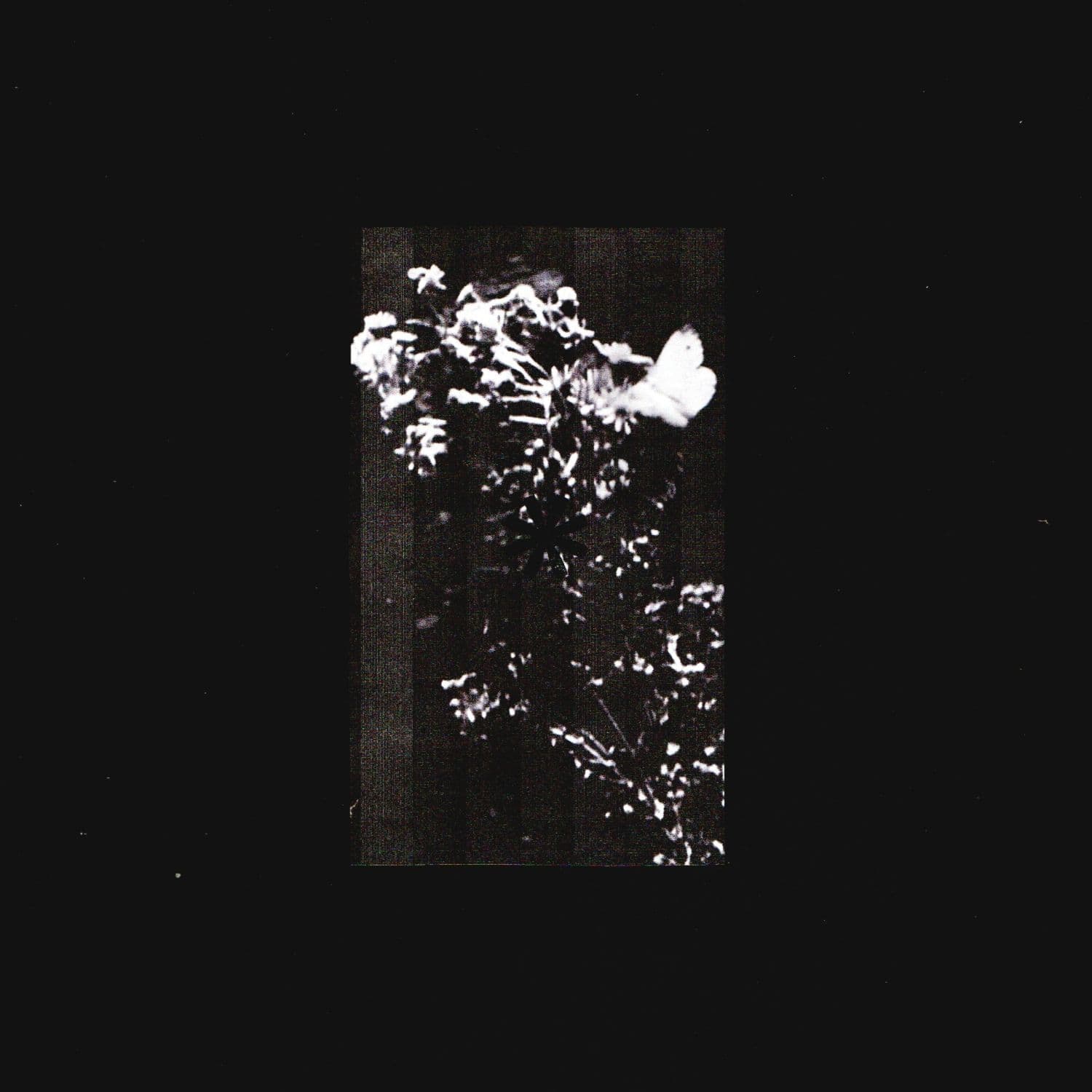 L.Douglas-Residue-_SB005_-WEB-2026-PTC