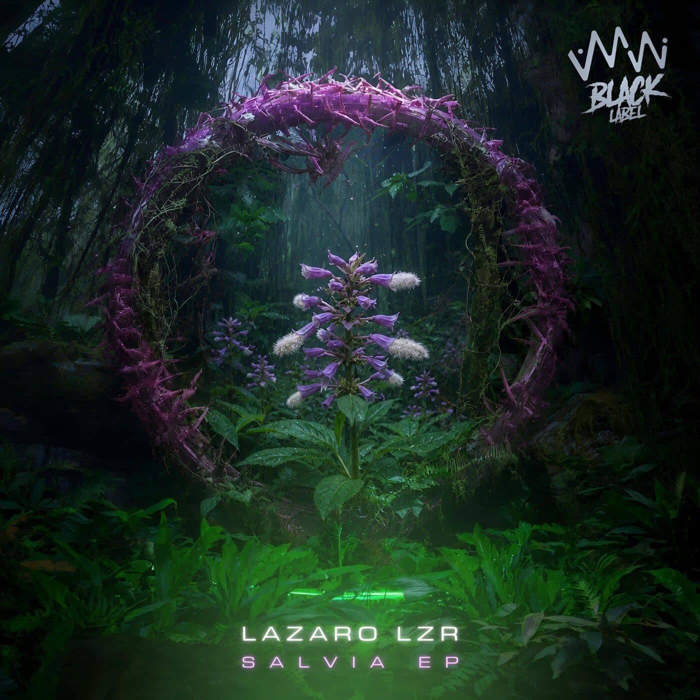 Lazaro_lzr-Salvia_EP-_ABL059_-WEB-2026-PTC