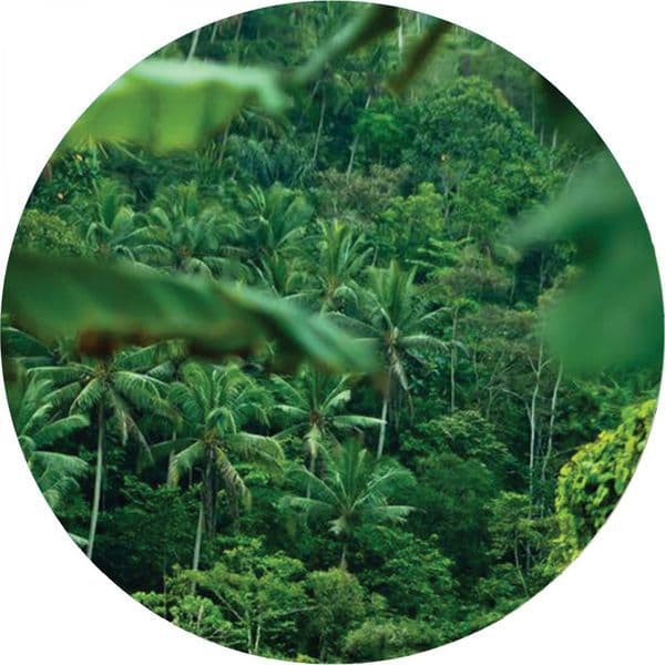 Lock_Eyes-Vanished-_PALMS009_-16BIT-WEB-FLAC-2017-BABAS