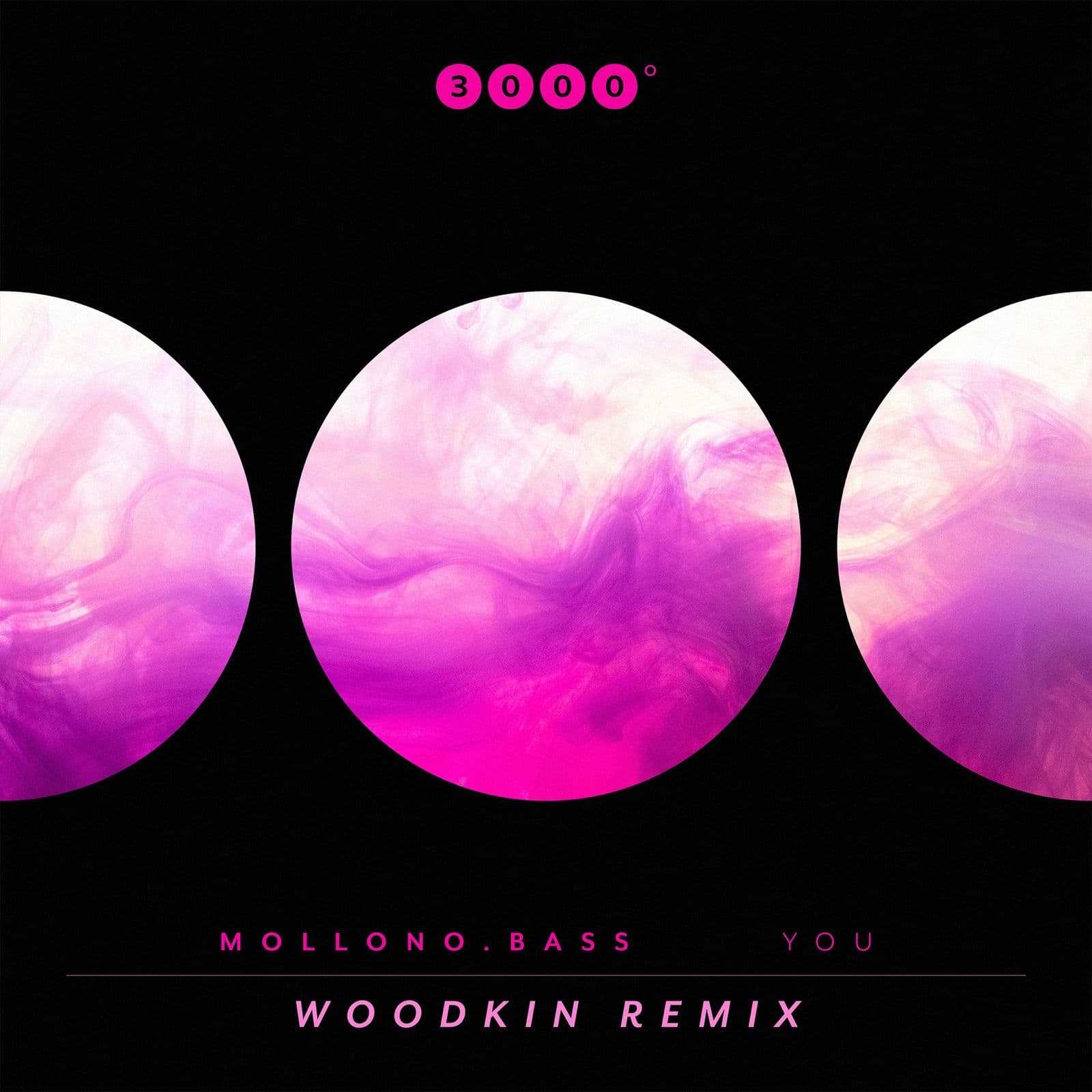 Mollono.Bass-You_Woodkin_Remix_-_3000GRAD209_-16BIT-WEB-FLAC-2026-SHELTER
