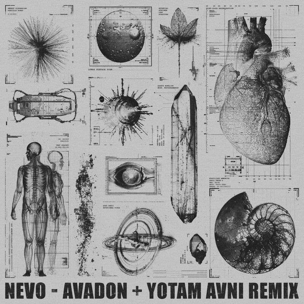Nevo--Avadon_Yotam_Avni_Remix_-_SHAMAN194_-WEB-2026-YALLA