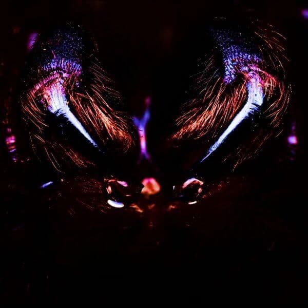Ombra-NIGHT_TERROR-EP-24BIT-WEB-FLAC-2026-ENTiTLED