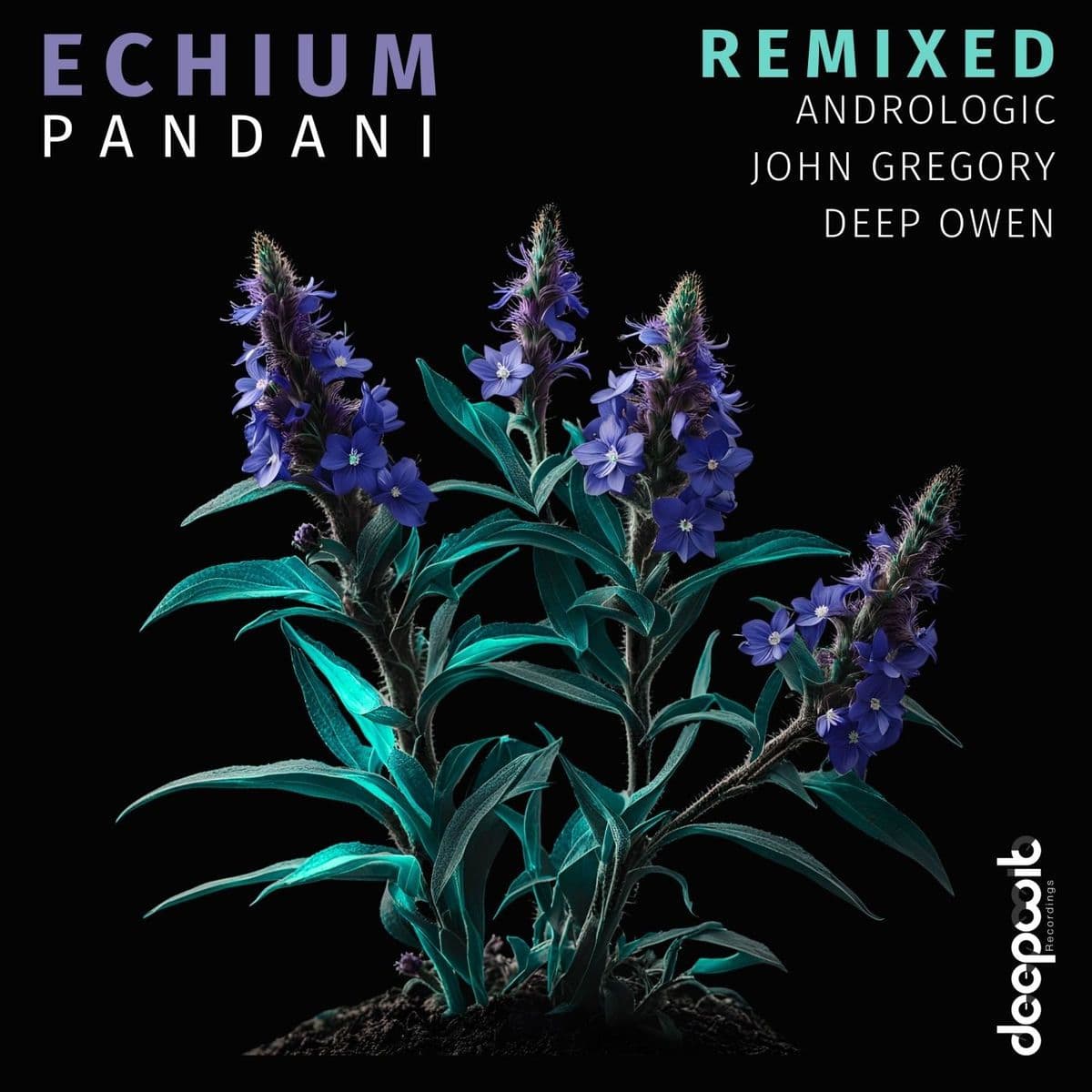 Pandani-Echium_Remixed-_DWR203_-WEB-2025-BABAS