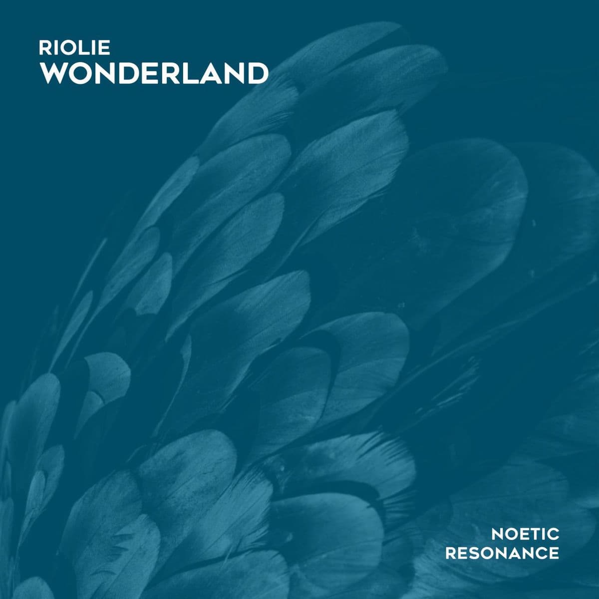 Riolie_-_Wonderland-_NRN137_-SINGLE-WEB-2026-JUSTiFY