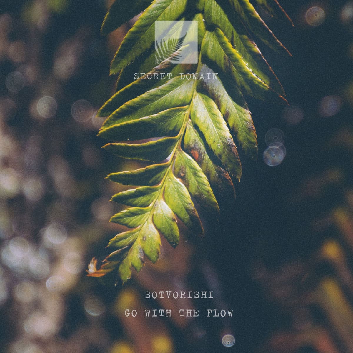 Sotvorishi-Go_With_The_Flow-_SD111_-WEB-2025-BABAS