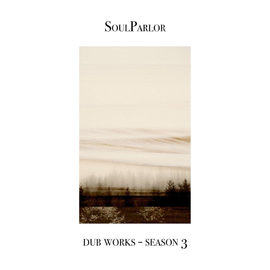 SoulParlor-Dub_Works-Season_3-_INSECTORAMA231_-24BIT-WEB-FLAC-2026-AGITB