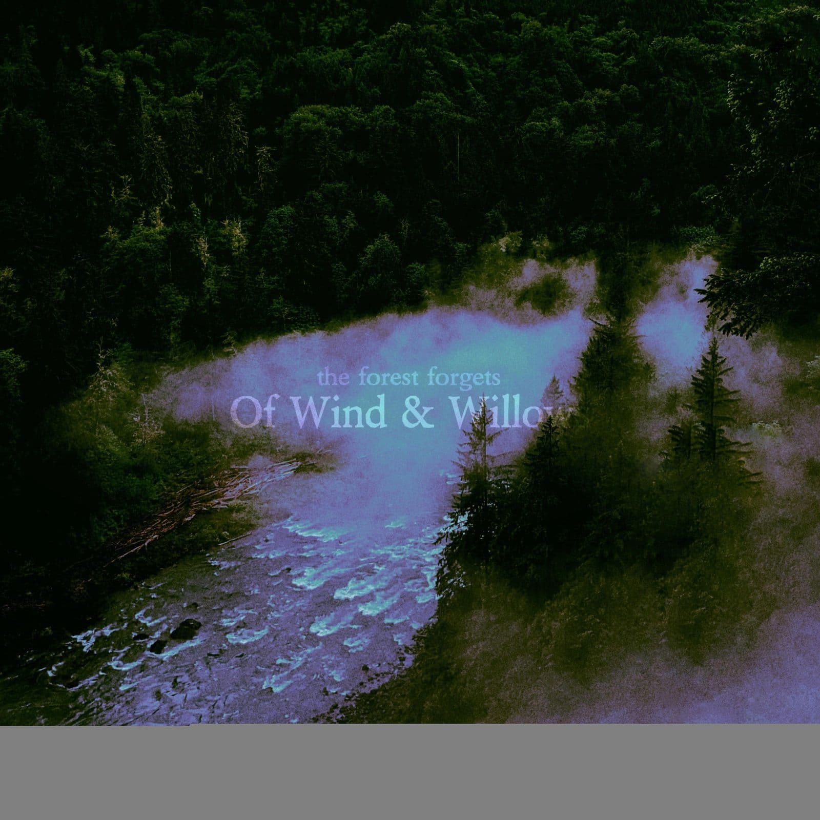 The_Forest_Forgets-Of_Wind_and_Willows-EP-WEB-2024-BLEEDiNG