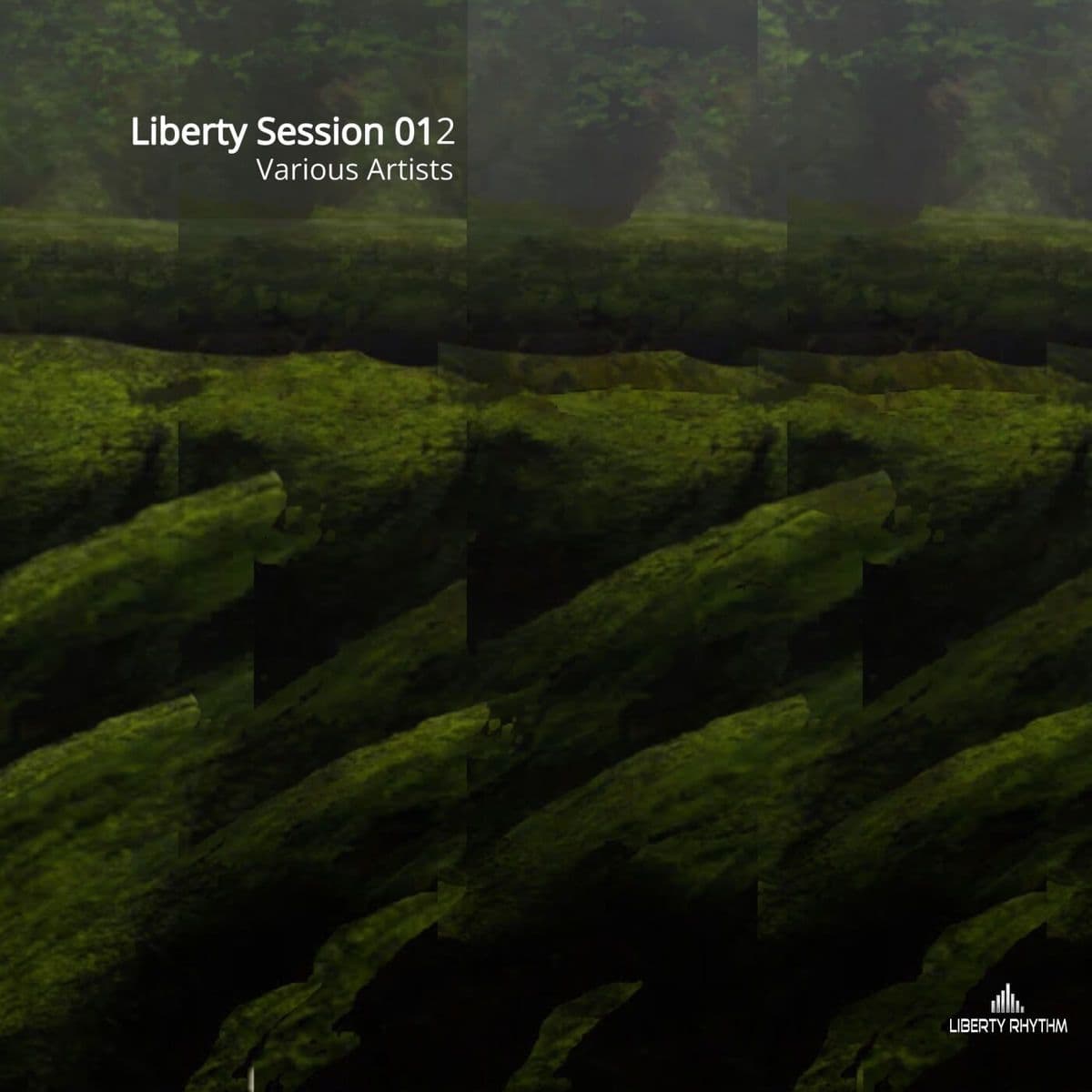 VA-Liberty_Session_012-_LRVA13_-WEB-2024-BABAS