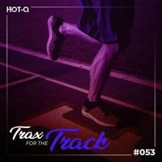 VA-Trax_For_The_Track_053-16BIT-WEB-FLAC-2026-ROSiN