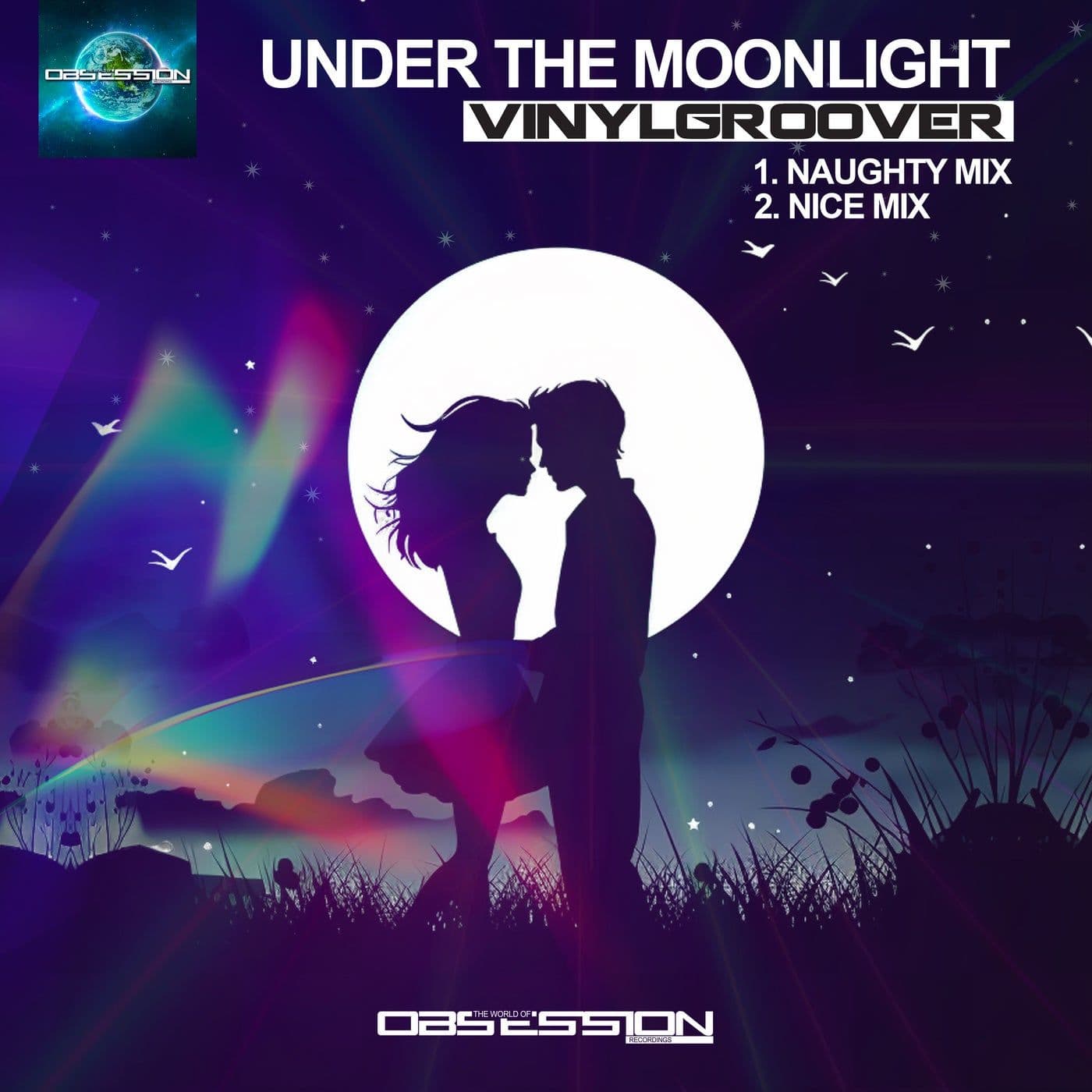 Vinylgroover-Under_The_Moonlight-_NTWO169_-WEB-FLAC-16BIT-2026-SAS
