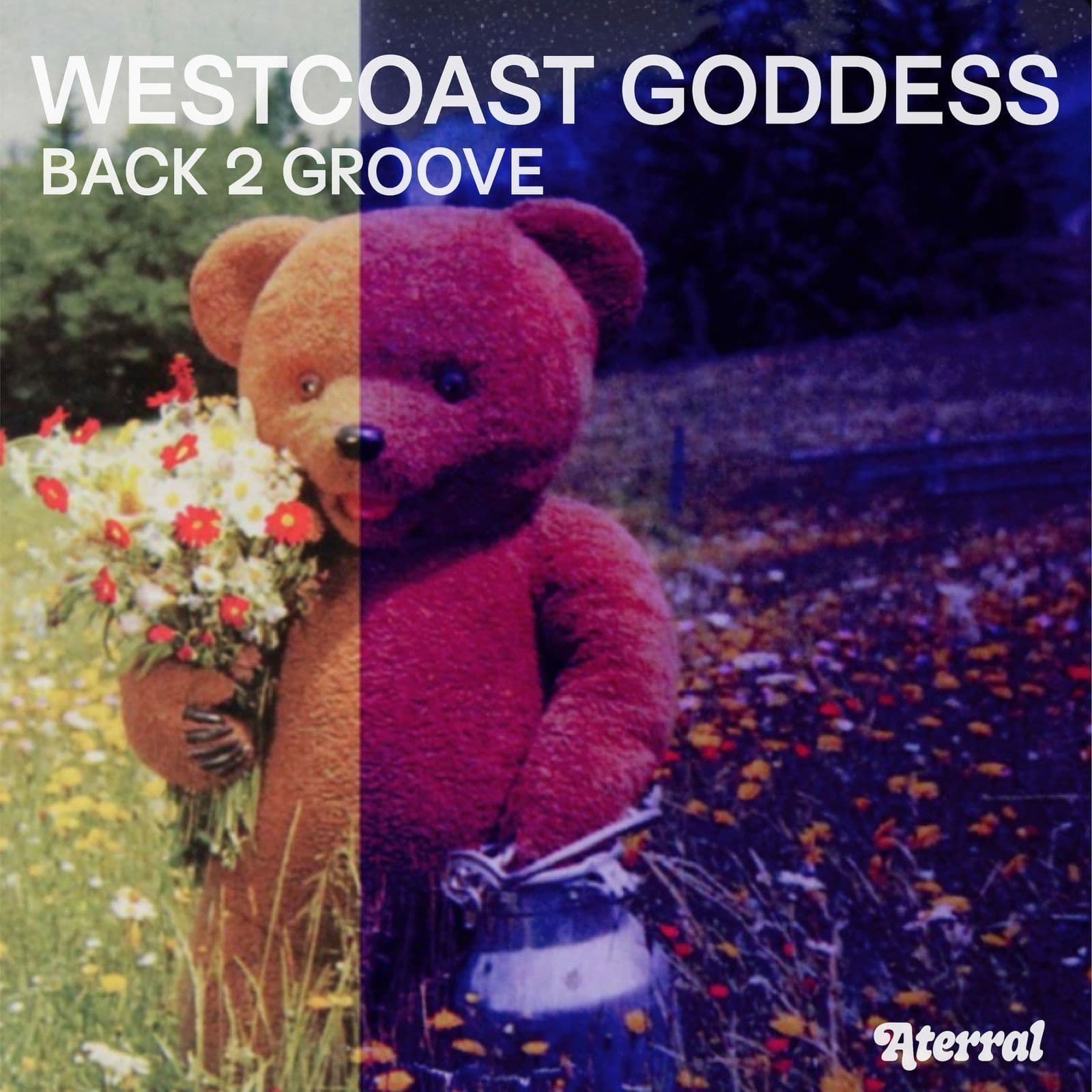 Westcoast_Goddess-Back_2_Groove-_ATRRL044_-WEB-2026-BB