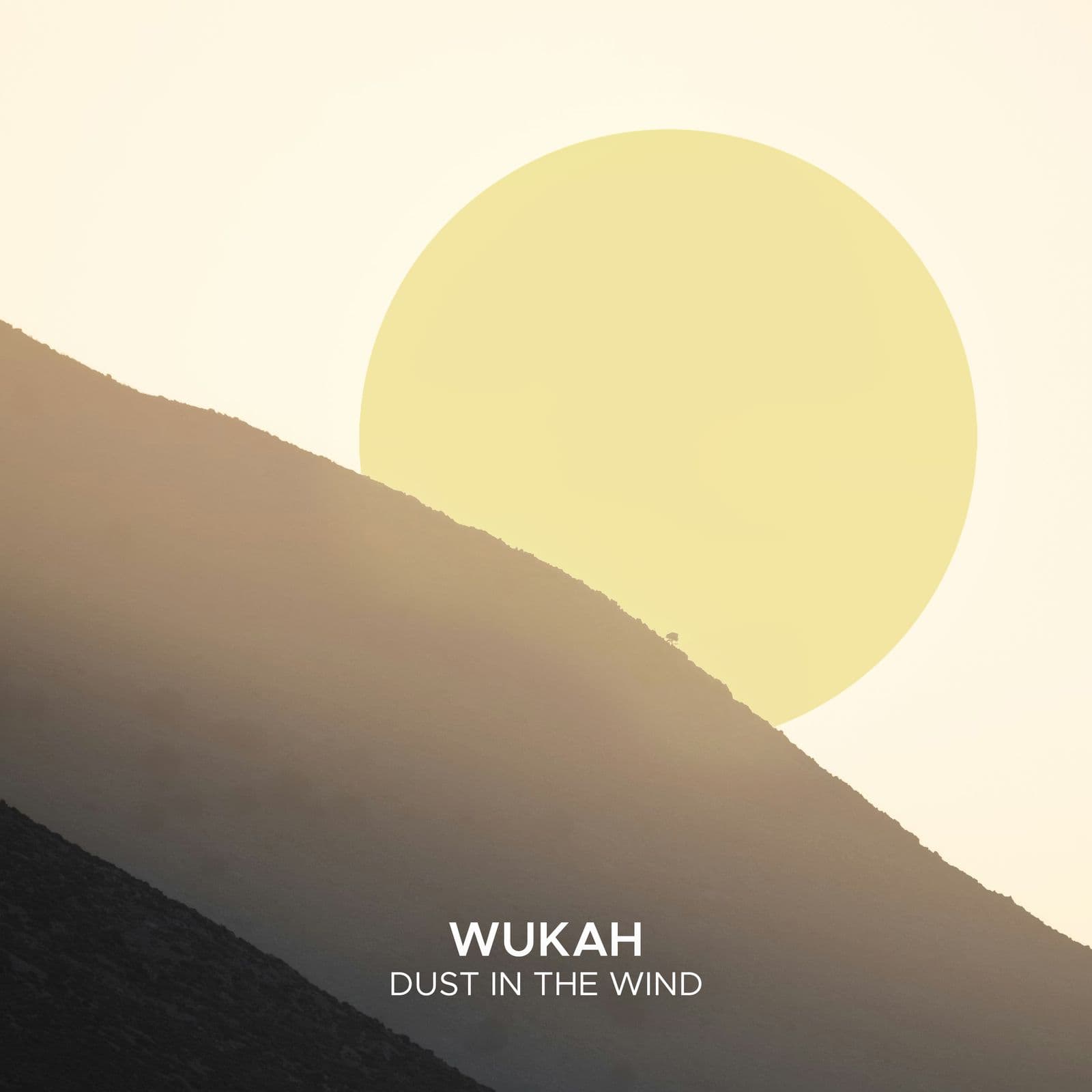 Wukah-Dust_In_The_Wind-_SEK430B_-WEB-2026-PTC