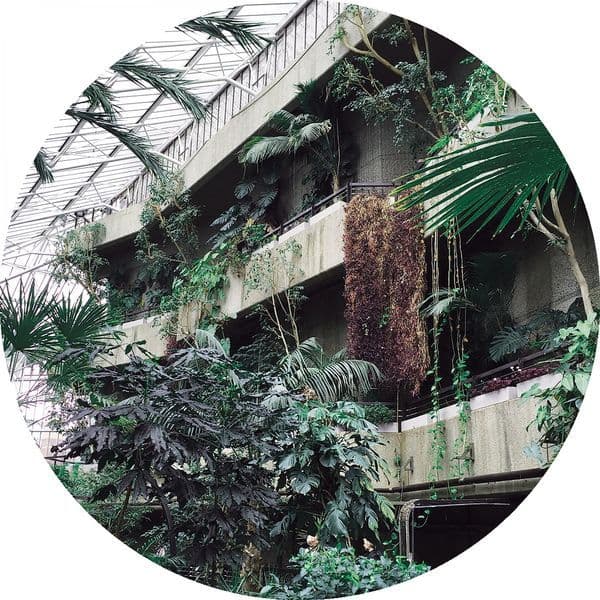 Zoo_Look-Similar_Steps-_PALMS021_-16BIT-WEB-FLAC-2019-BABAS