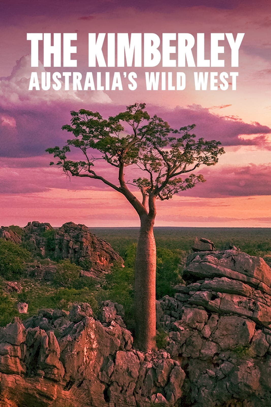 The Kimberley Australias Wild West S01E03 1080p WEBRip x264-BAE