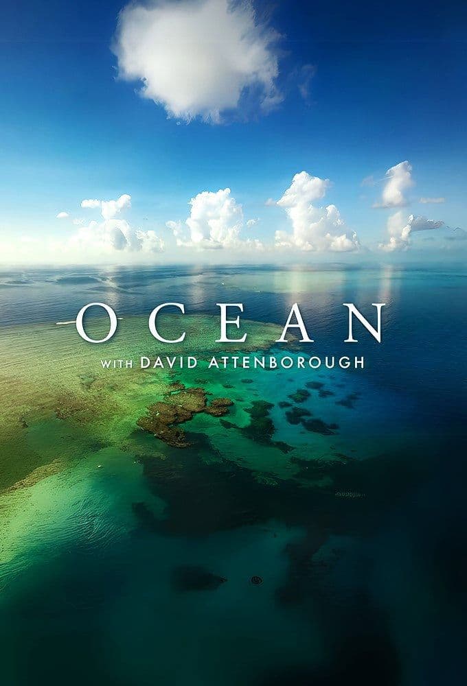 Ocean with David Attenborough 2025 1080p BluRay x264-OFT