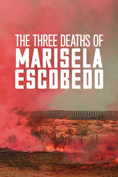 The Three Deaths of Marisela Escobedo 2020 2160p NF WEB DL DDP5 1 H 265-HHWEB
