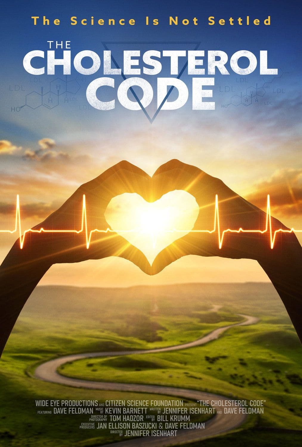 The Cholesterol Code 2026 720p WEBRip-YTSGGYTSBZ