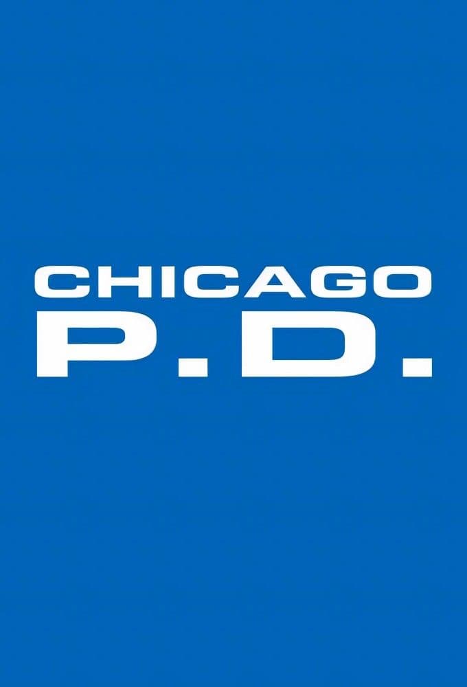 Chicago PD S12E03 MULTi XviD-AFG