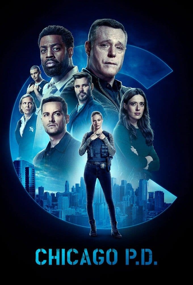 Chicago PD S12E02 MULTi 480p x264-mSD