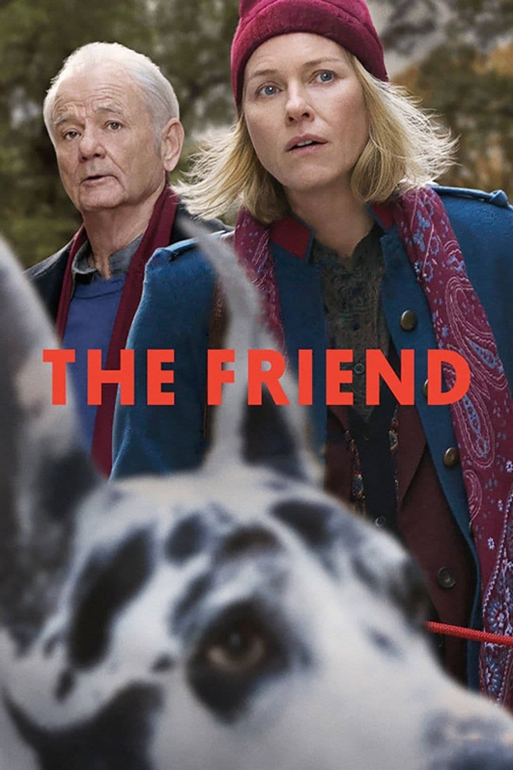 The Friend 2025 1080p AMZN WEB-DL DDP5 1 H 264 DUAL-BiOMA
