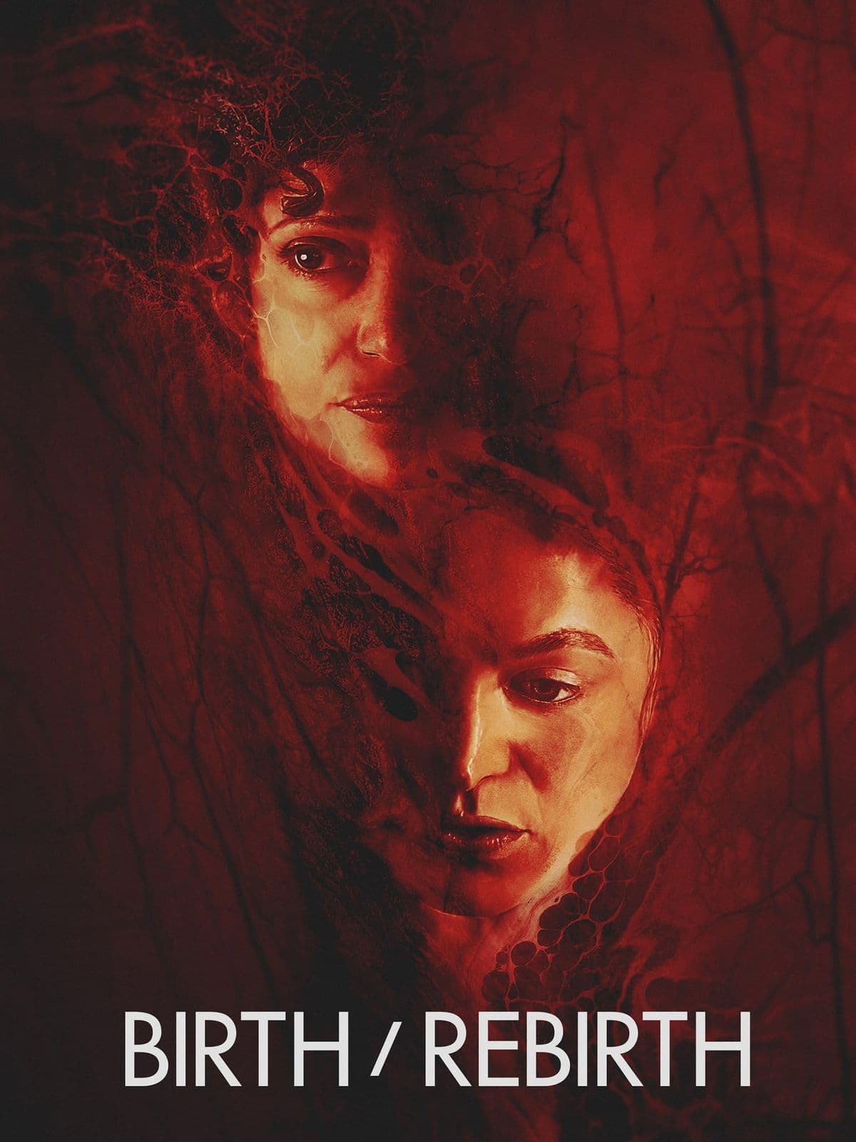 Birth Rebirth 2023 CZECH 720p HDTV x264-iCZi