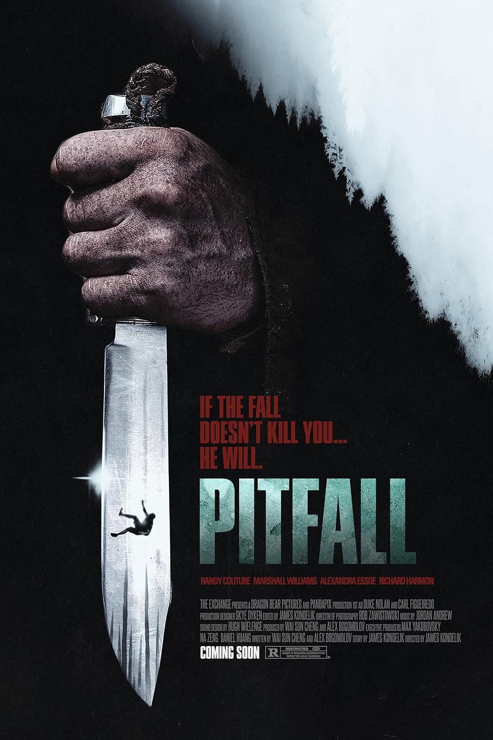 pitfall 2026 1080amzn web-dl dd 5 1 h 264-playweb