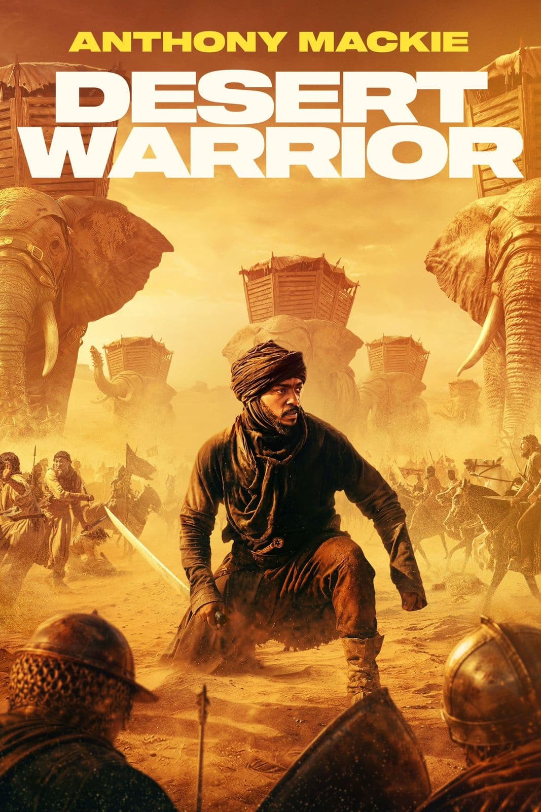 Desert Warrior 2025 INTERNAL BLURAY 1080p BluRay 5 1-LAMA