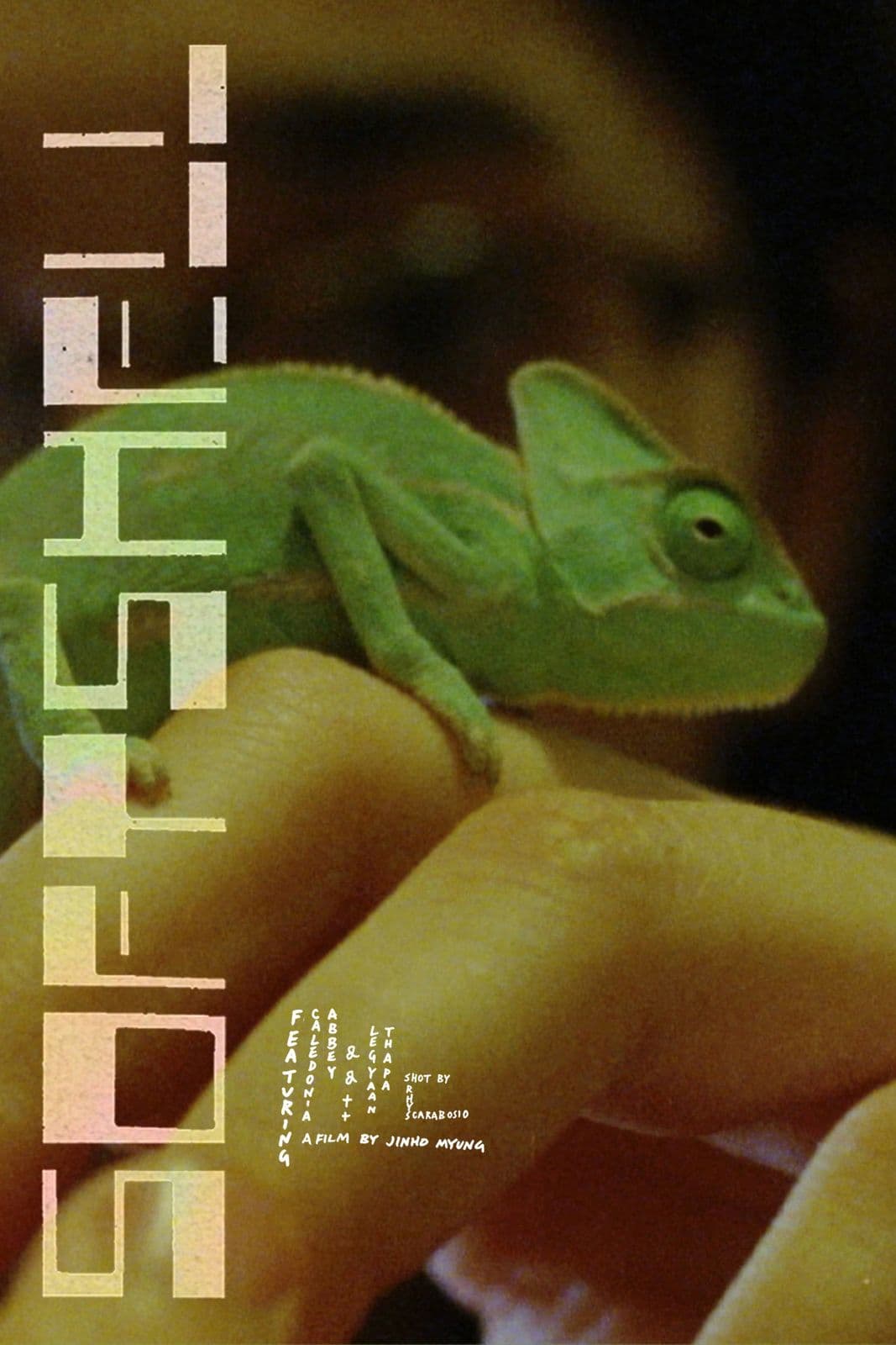 Softshell 2024 1080p BluRay-YTSGGYTSBZ