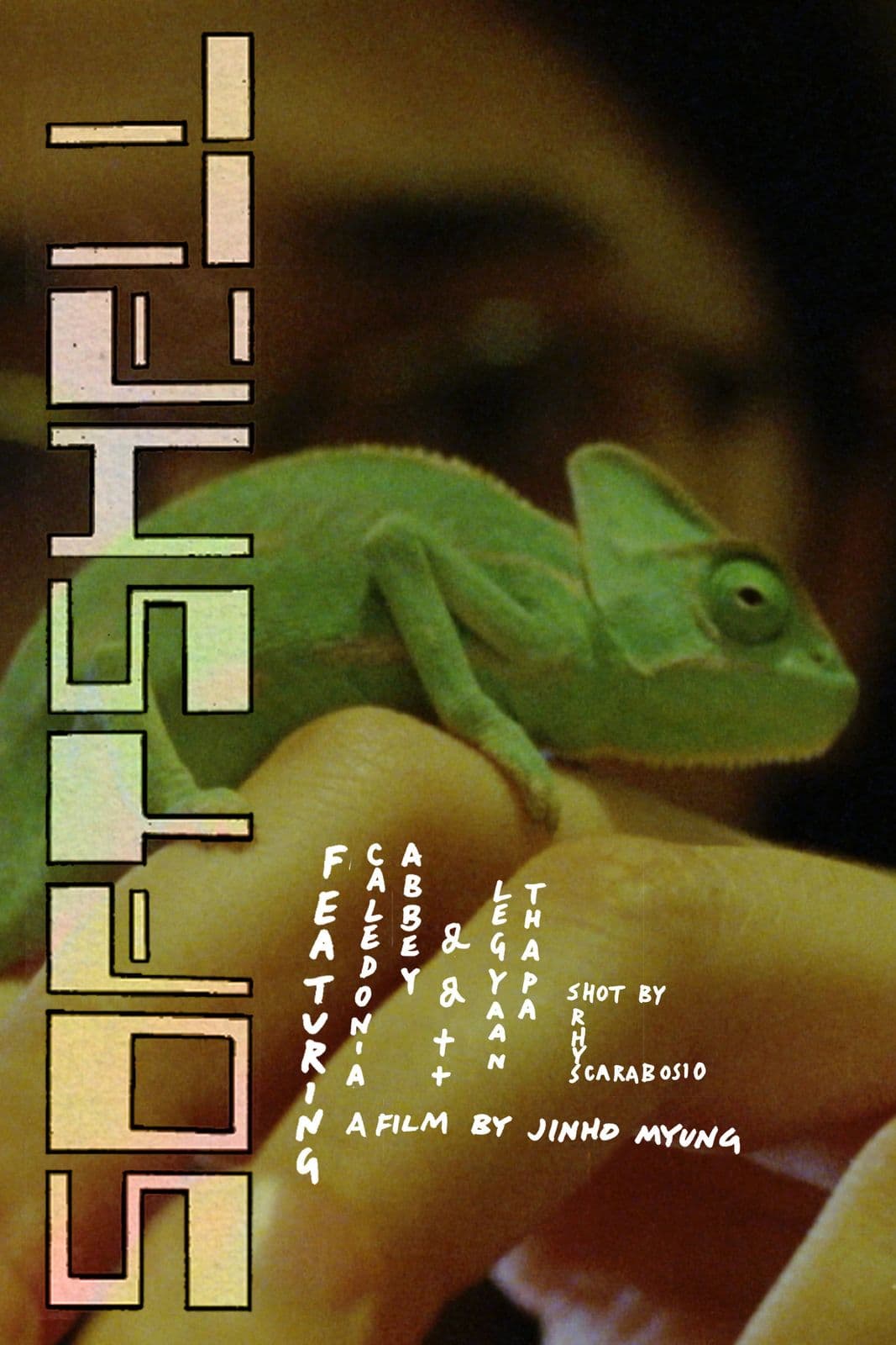 Softshell 2024 720p BluRay-LAMA