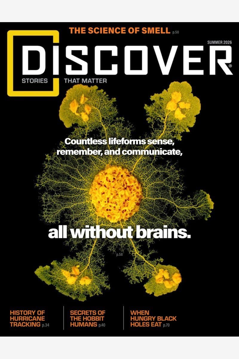 Discover Summer - 2026 [EN]