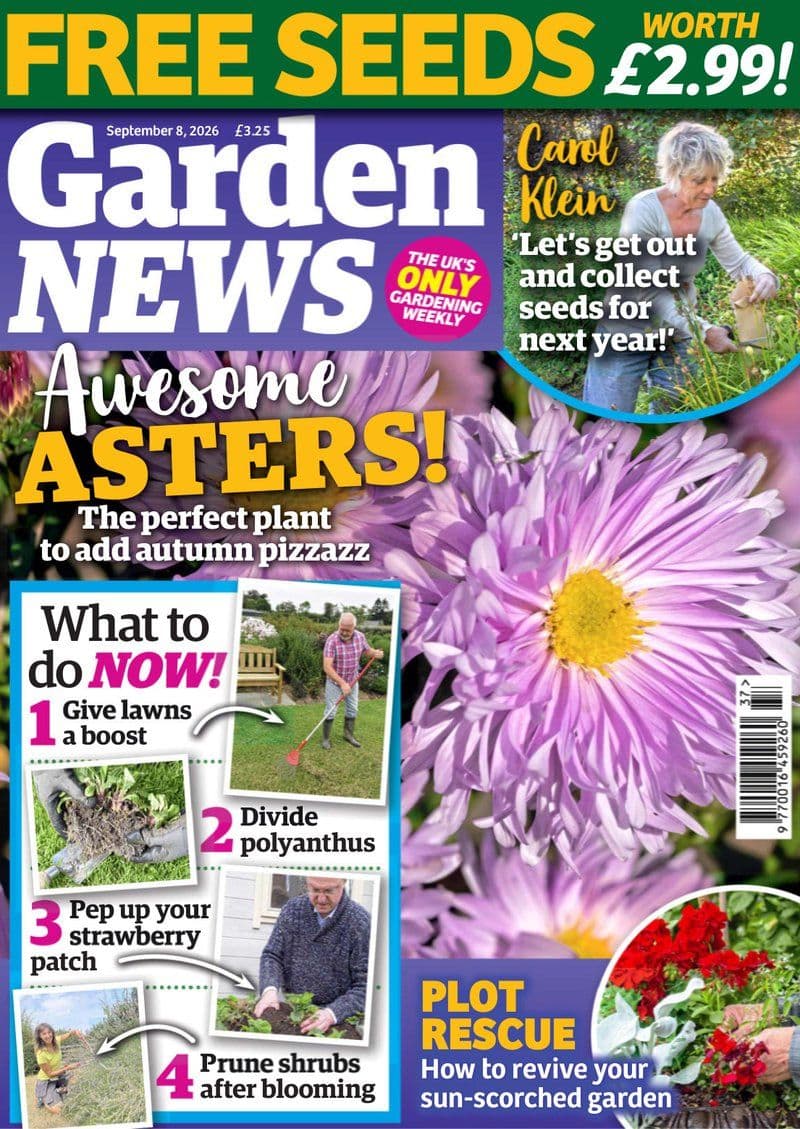Garden News September 08 - 2026 [EN]