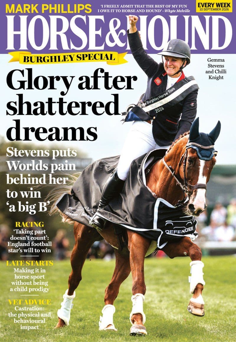 Horse And Hound September 10 - 2026 [EN]
