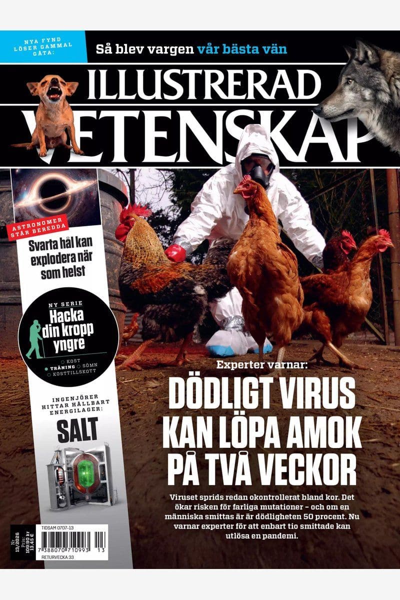 Illustrerad Vetenskap - Swedish Magazine No.13, 2026 [SV]