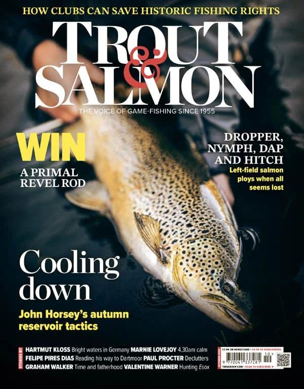 Trout_Salmon_-_October_2026