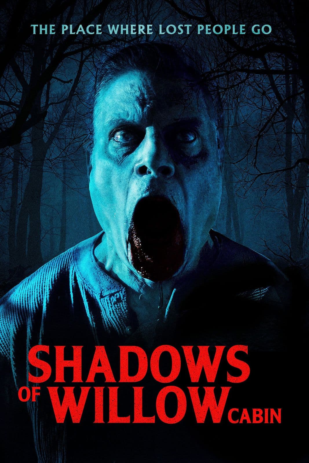 Shadows Of Willow Cabin 2025 1080p WEBRip 5 1-YTSGGYTSBZ
