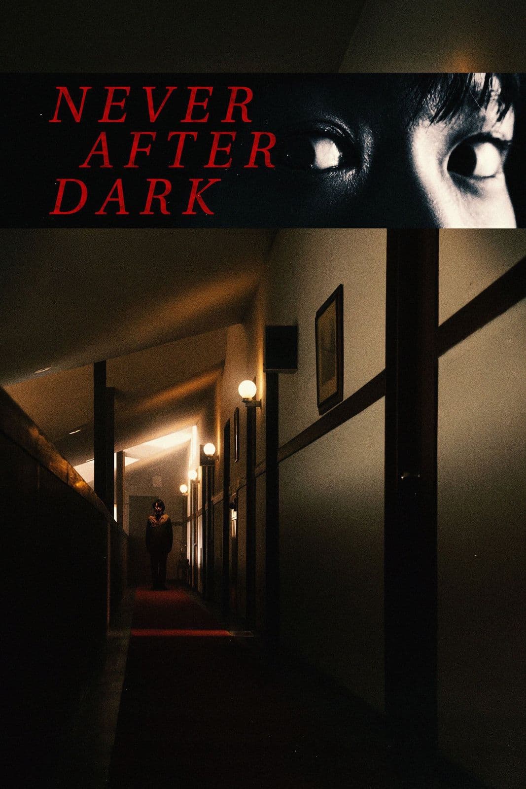 Never After Dark 2026 1080p WEBRip DUAL 10Bit DDP5 1 x265-NeoNoir