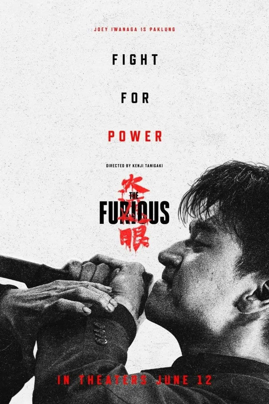 The Furious 2025 1080p VOSTFR WEBRip 10Bit DDP5 1 x265-NeoNoir