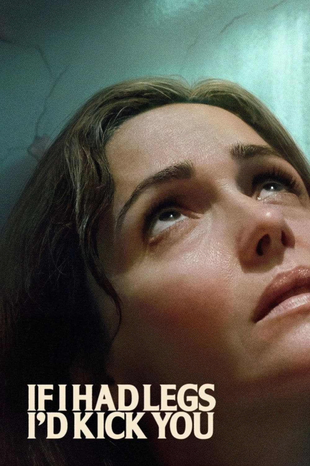 If I Had Legs Id Kick You 2025 m1080p DUAL BluRay x264 AC3 HdT