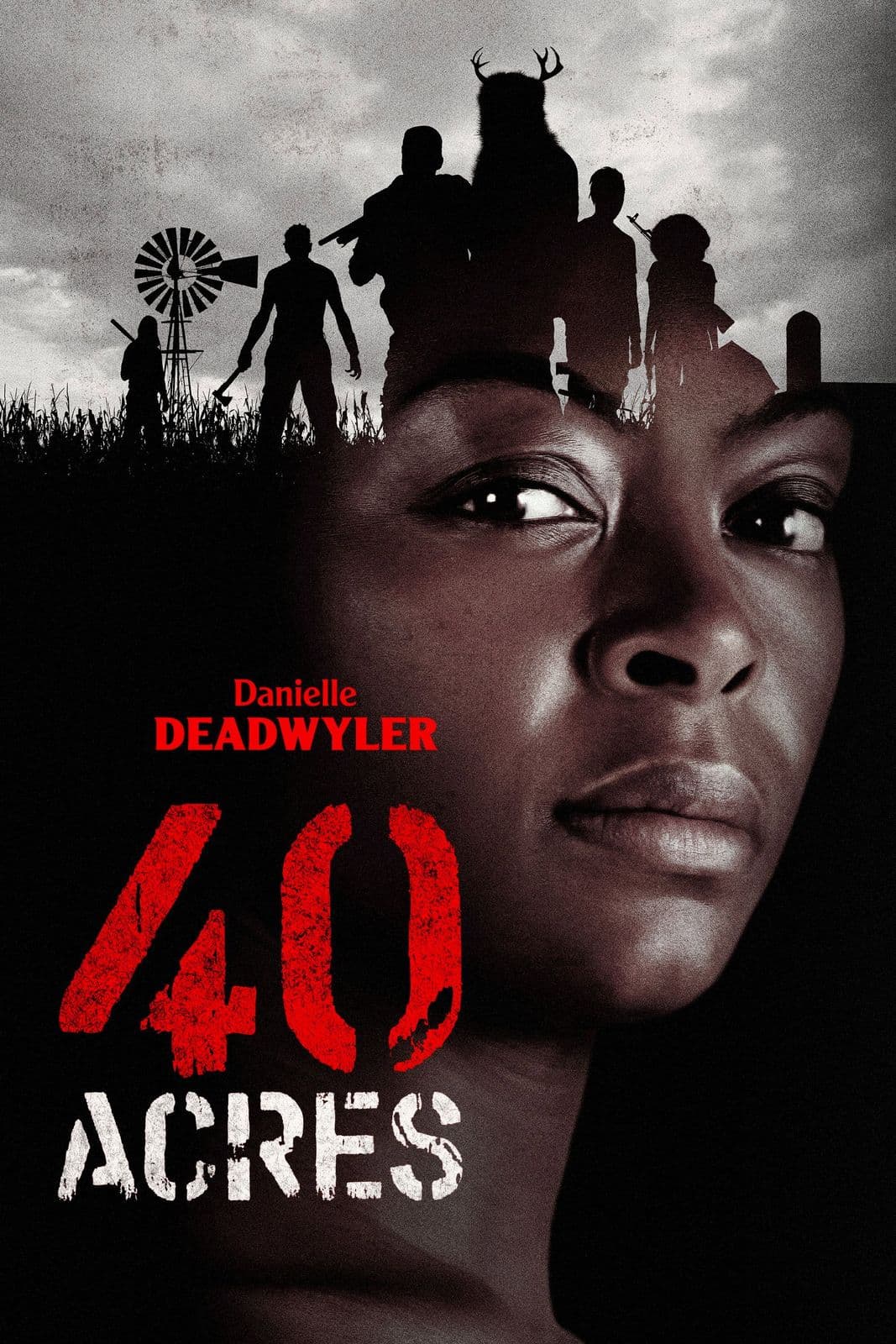 40 Acres 2024 720p BluRay DD 5 1 x264-playHD